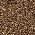 Mt. Trail - Cotton Club