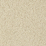 Oyster Rockfeller - Cotton Club