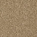 Classic Taupe - Cotton Club