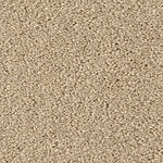 Sand Fossil - Cotton Club