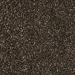 Bridge Wood - Cotton Club