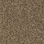 Dolphin - Cotton Club