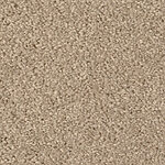 Sparrow - Cotton Club