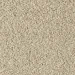 Winter Hawk - Cotton Club