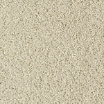 Porcini - Cotton Club