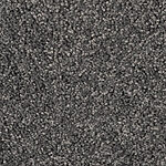 Distant Thunder - Cotton Club