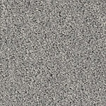 Roadrunner - Cotton Club