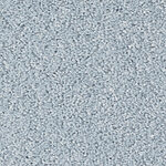 Pacific Wind - Cotton Club