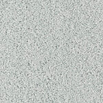 Icelandic - Cotton Club