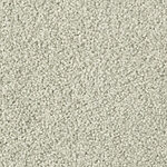 Misty Surf - Cotton Club