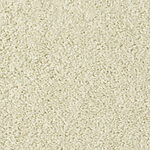 Winter Chiffon - Cotton Club