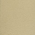 Real Vanilla - Dolce