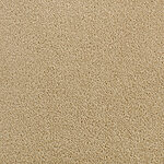 Spiced Curry - Denali