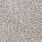 Silver Wood - Denali