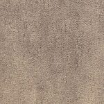 Bishop Pass - Desert Vista