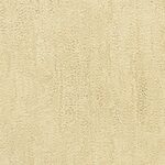 Boardwalk - Desert Vista