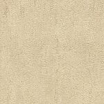 Great Basin - Desert Vista