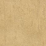 Sierra - Desert Vista