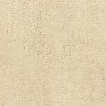 Trail - Desert Vista