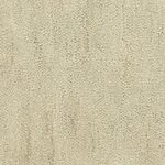 Tree Line - Desert Vista