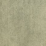 Valley - Desert Vista