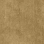 Wetlands - Desert Vista