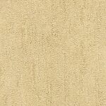 Yosemite - Desert Vista