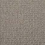 Grey Goose - Donegal