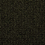 Tropical Isle - Donegal