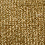 Tuscan Sun - Donegal