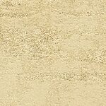 Boardwalk - Kings Canyon