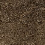 Grizzly - Kings Canyon