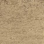 Sequoia - Kings Canyon