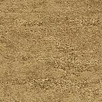 Wetlands - Kings Canyon