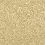 Film Festival - Madonna