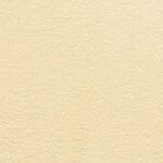 Golden Globe - Madonna