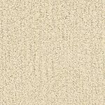 Coastline - Monterey