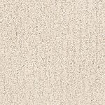 Sail Boat - Monterey