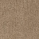 Walking Trail - Monterey