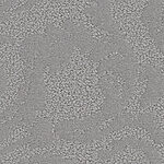 Midnight - New Mallorca