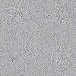 Storm - New Mallorca