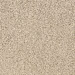 Breakwater - Pacific Grove