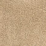 Chaparral - Pacific Grove