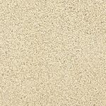 Coastline - Pacific Grove