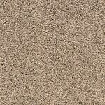 Driftwood - Pacific Grove