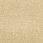 Dunes - Pacific Grove