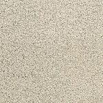 Pebble Beach - Pacific Grove