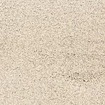 Sail Boat - Pacific Grove