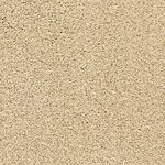 Sand City - Pacific Grove