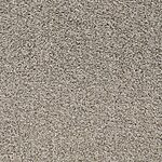 Sea Otter - Pacific Grove